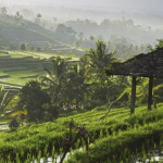 Don’t look for it! Bali’s most comprehensive guide is here!（4）