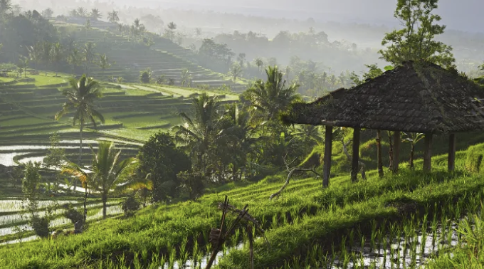 Don’t look for it! Bali’s most comprehensive guide is here!（4）